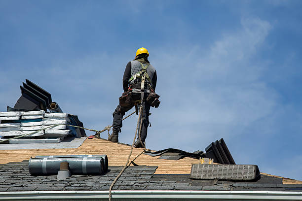 Professional Roof Replacement technician working in Hollandale, WI